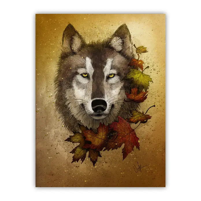 Marine Loup Autumn Wolf
