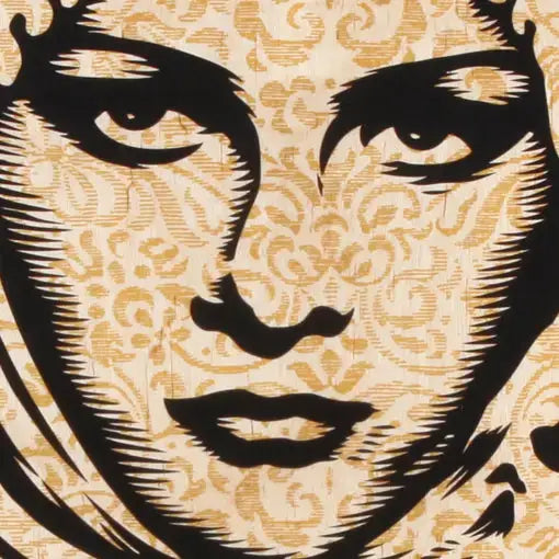 Shepard Fairey Arab Woman